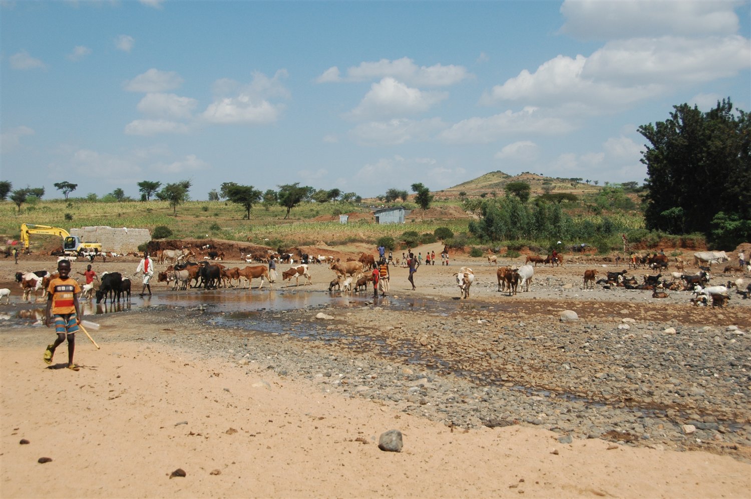 Etiopia - drogocenna woda